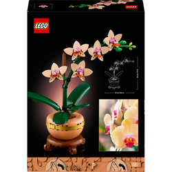 LEGO® Botanicals 10343 Miniaturní orchidej