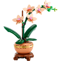 LEGO® Botanicals 10343 Miniaturní orchidej