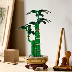 LEGO® Botanicals 10344 Bambus štěstí