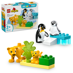 LEGO® DUPLO® 10442 Rodinky divokých zvířat: Tučňáci a lvi
