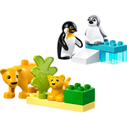 LEGO® DUPLO® 10442 Rodinky divokých zvířat: Tučňáci a lvi
