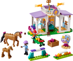 LEGO® Friends 41746 Výcvik koní
